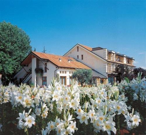 Hotel Ca' Delle Rose à Castelfranco Veneto Extérieur photo